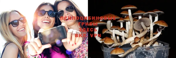 ешки Алексин