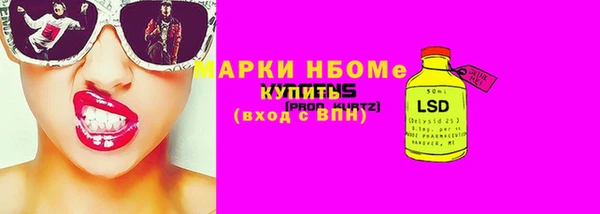 прущие грибы Алексеевка
