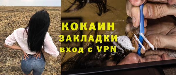 ешки Алексин